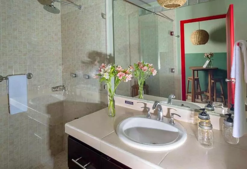 ホテル Albatros By Bedsfriends