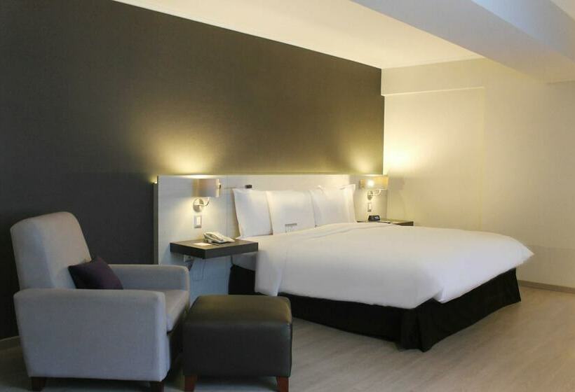 فندق El Sol De Oro