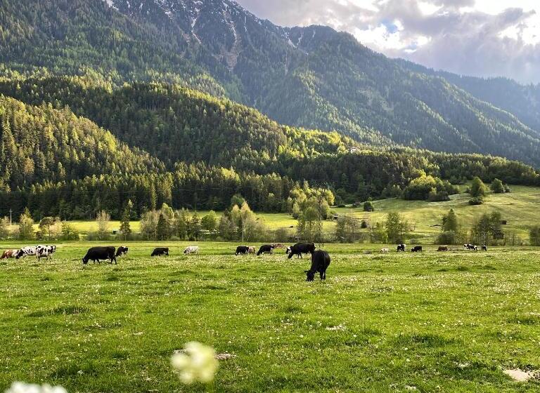 Appartements Griesserhof