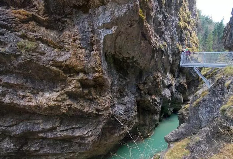 Bed and Breakfast Pension Alpina