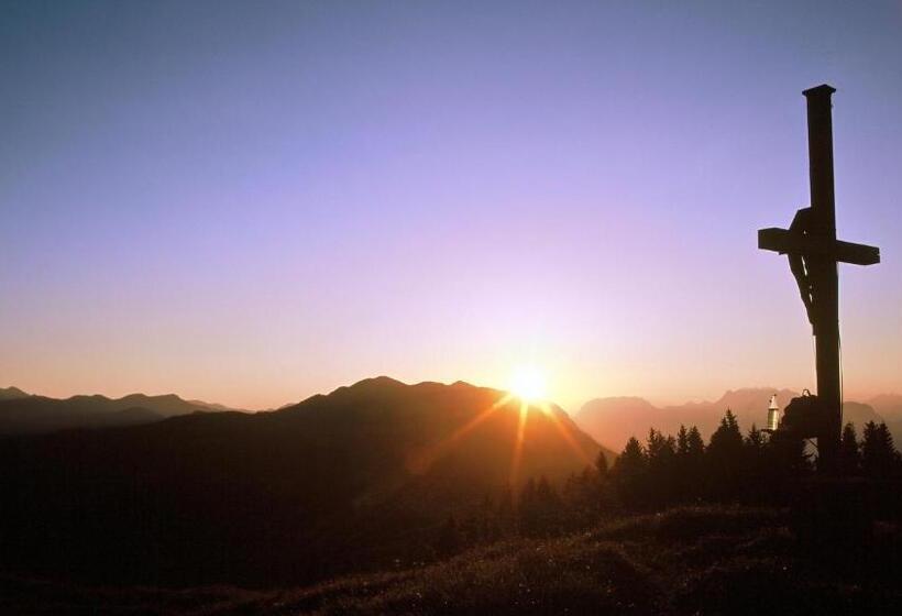 Bed and Breakfast Pension Alpina