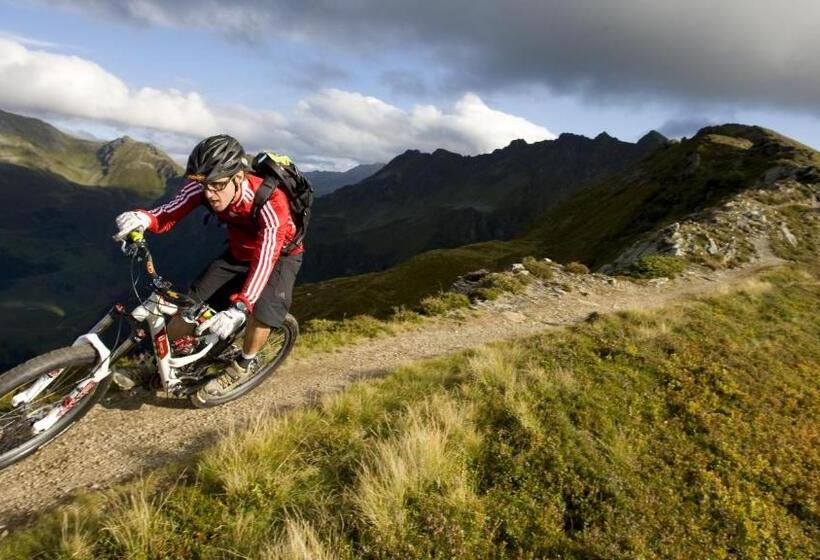 Bed and Breakfast Pension Alpina