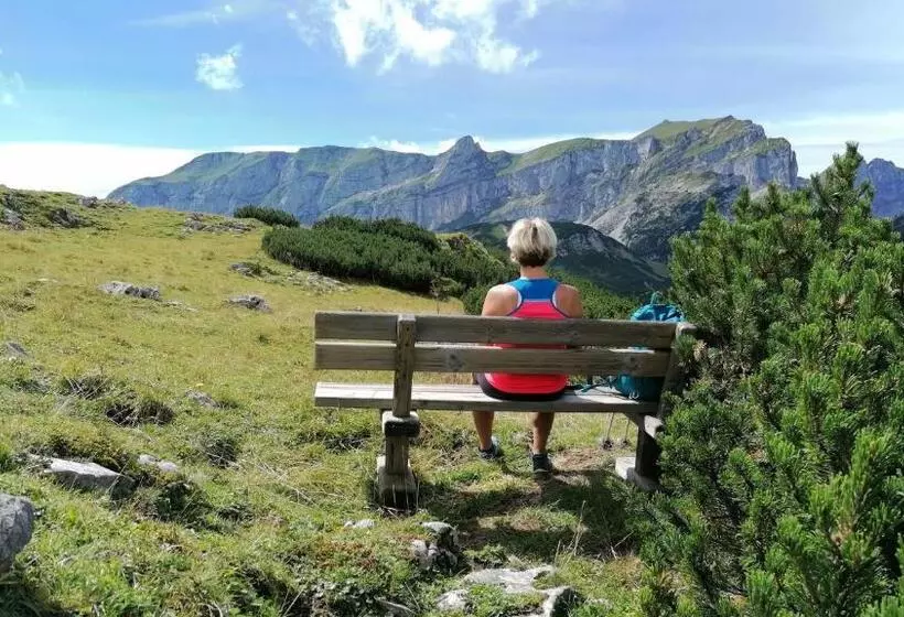 Bed and Breakfast Pension Alpina