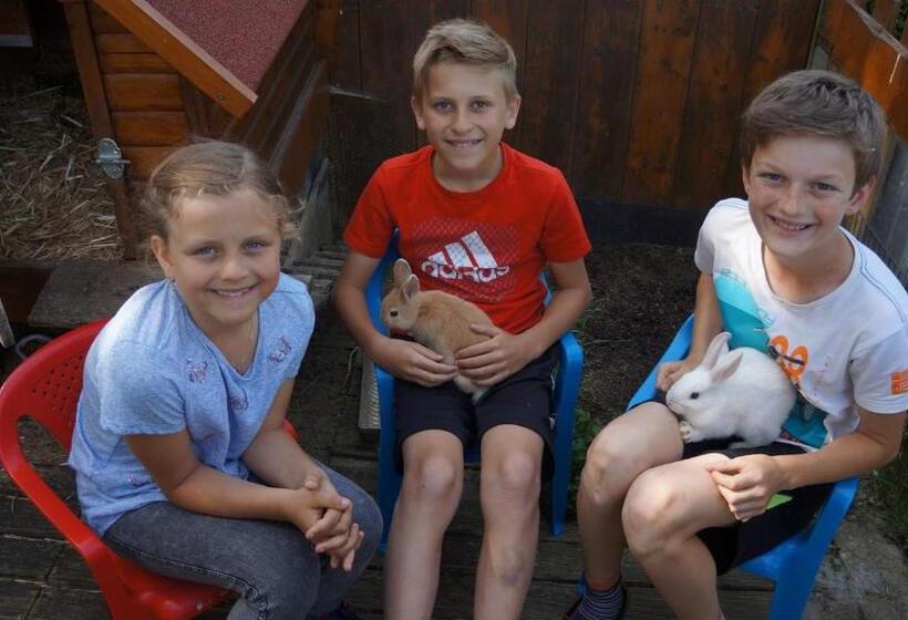 Bed and Breakfast Pension Alpina