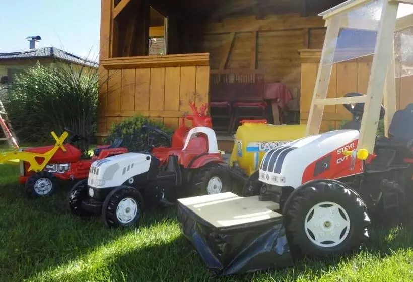 Bed and Breakfast Pension Alpina