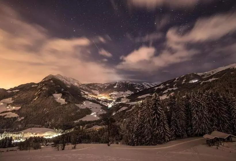 Bed and Breakfast Pension Alpina