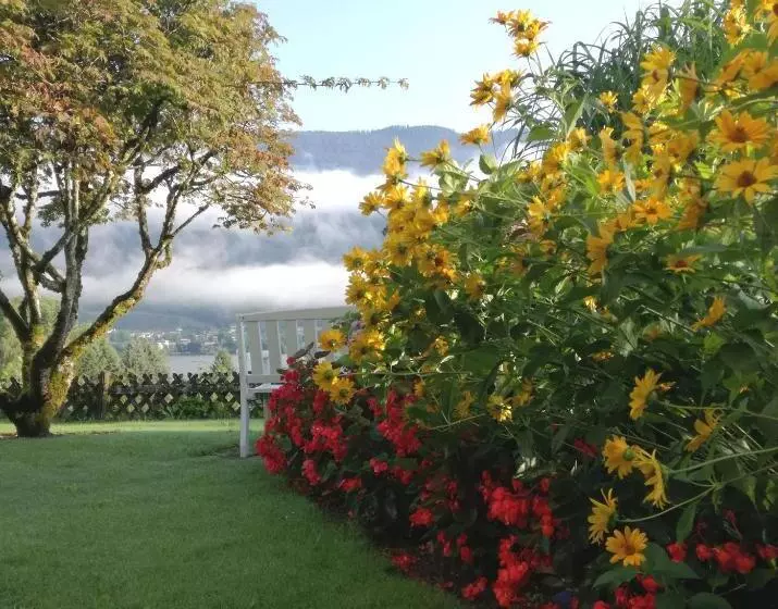 Bed and Breakfast Pension Magdalena