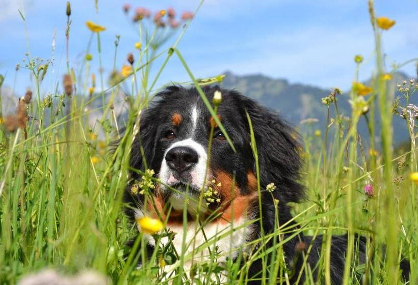 민박 Pension Waldrast