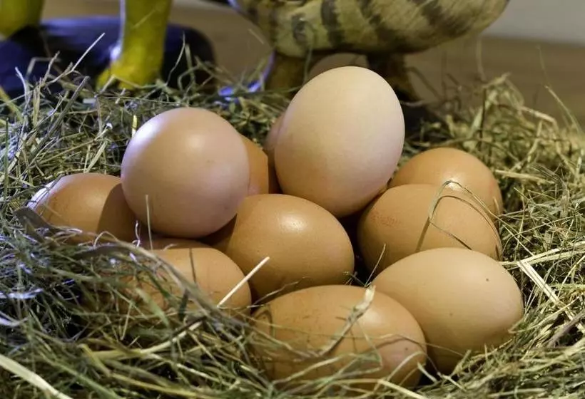 Bed and Breakfast Sportpension Elisabeth