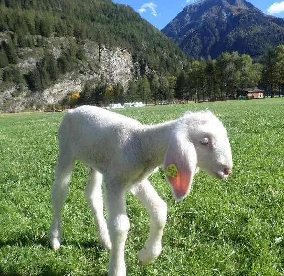 Ferienbauernhof Wendlshof