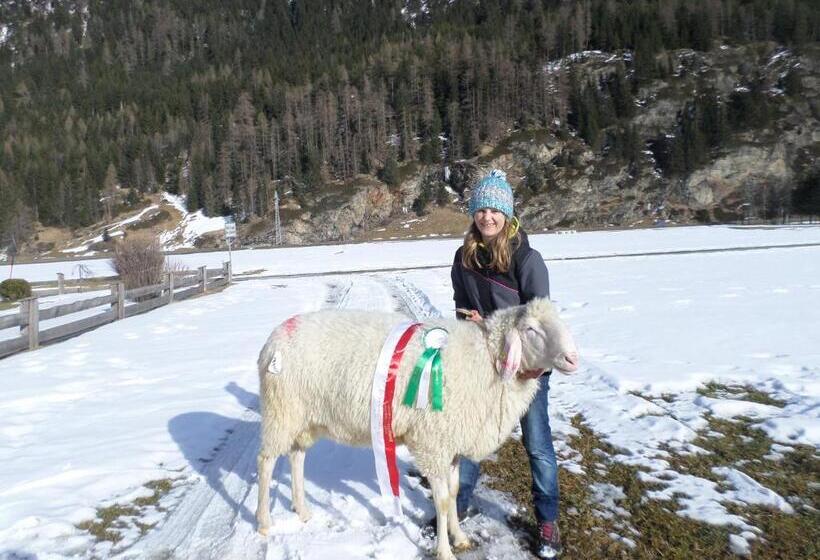 Ferienbauernhof Wendlshof