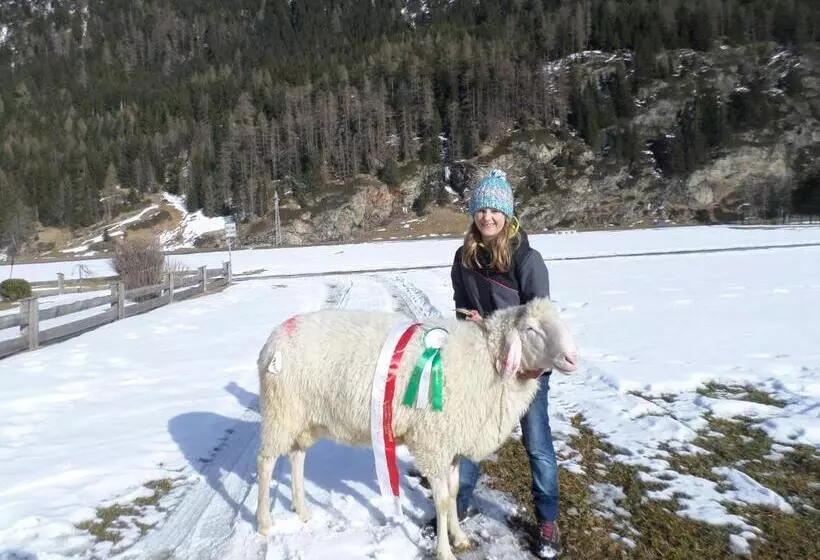 Ferienbauernhof Wendlshof