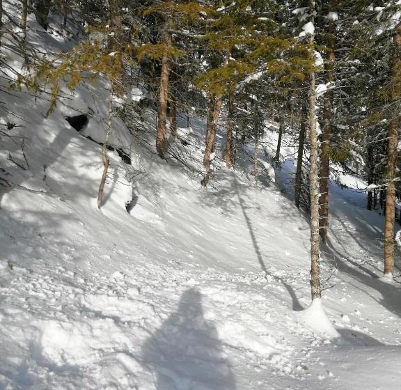 호텔 Garni Alpendiamant