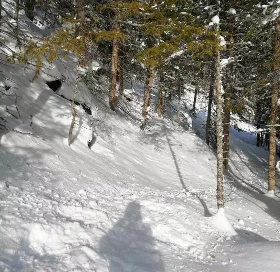 هتل Garni Alpendiamant