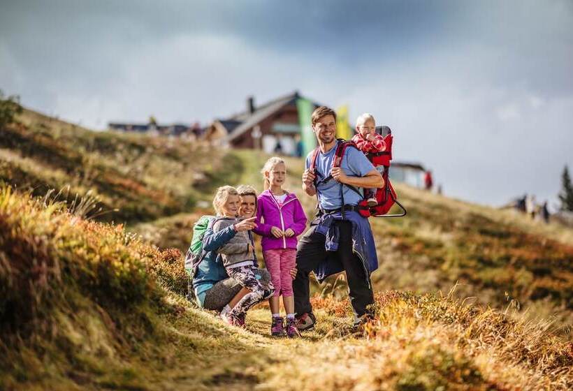 Aparthotel Das Hochkönig