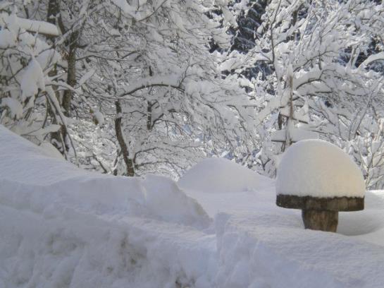 Bauernhof Grueblerhof