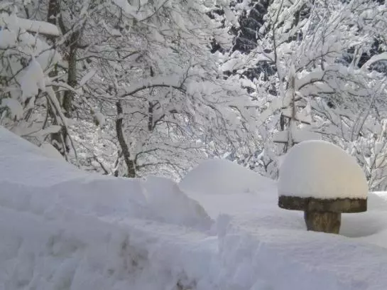 Bauernhof Grueblerhof