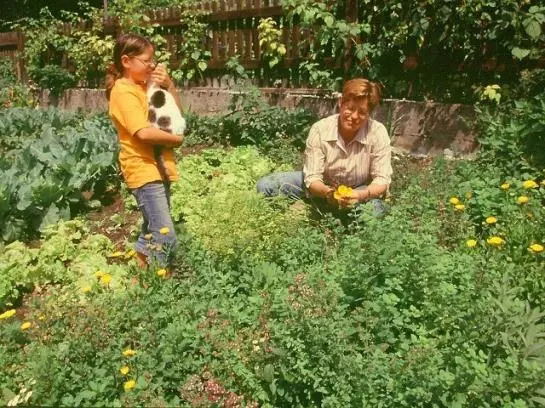 Bauernhof Grueblerhof