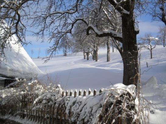 Bauernhof Grueblerhof