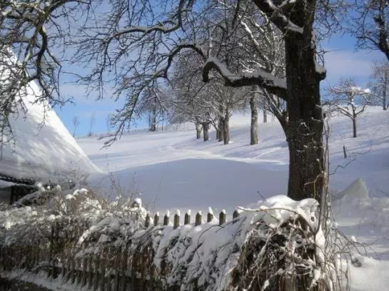 Bauernhof Grueblerhof