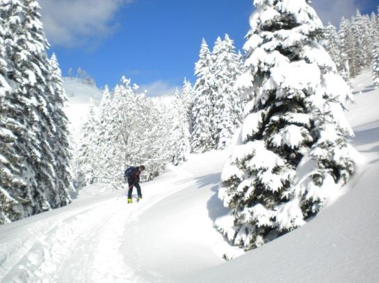 Bauernhof Grueblerhof