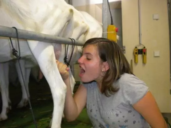 Bauernhof Grueblerhof