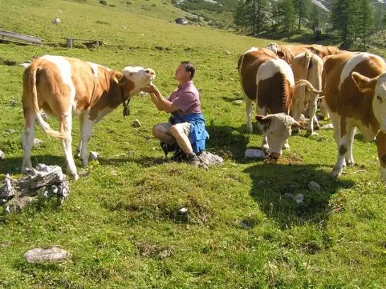 Bauernhof Grundlehner