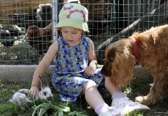 Bauernhof Koller - Wolfsberghof