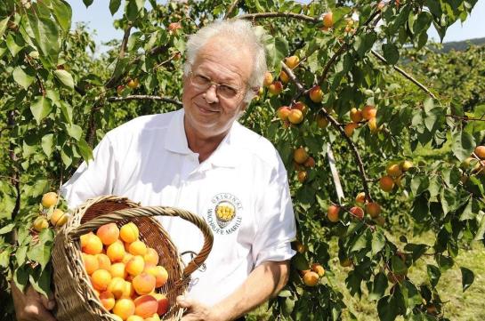 Bauernhof Koller - Wolfsberghof