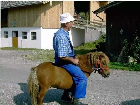 Bauernhof Oberhasling