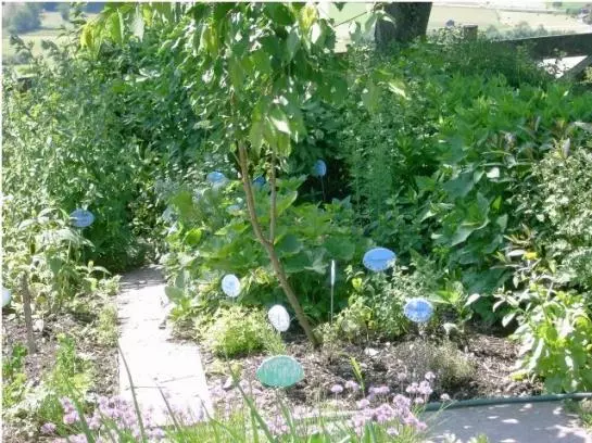 Bauernhof Oberhasling