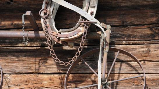 Bauernhof Pulvererhof