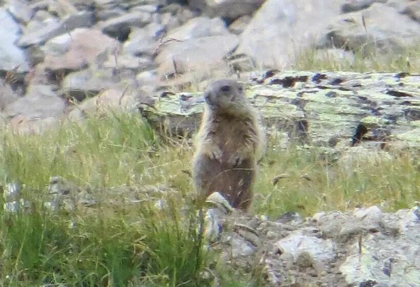 Отель Jennys Schlössl