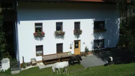 Отель Sagenschneider