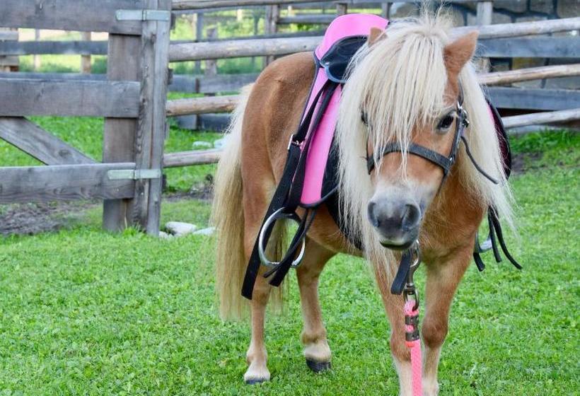 Albeinelerhof - Kinderbauernhof