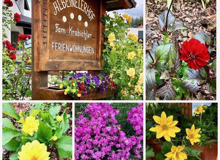 Albeinelerhof - Kinderbauernhof