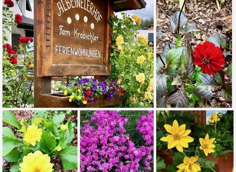 Albeinelerhof - Kinderbauernhof
