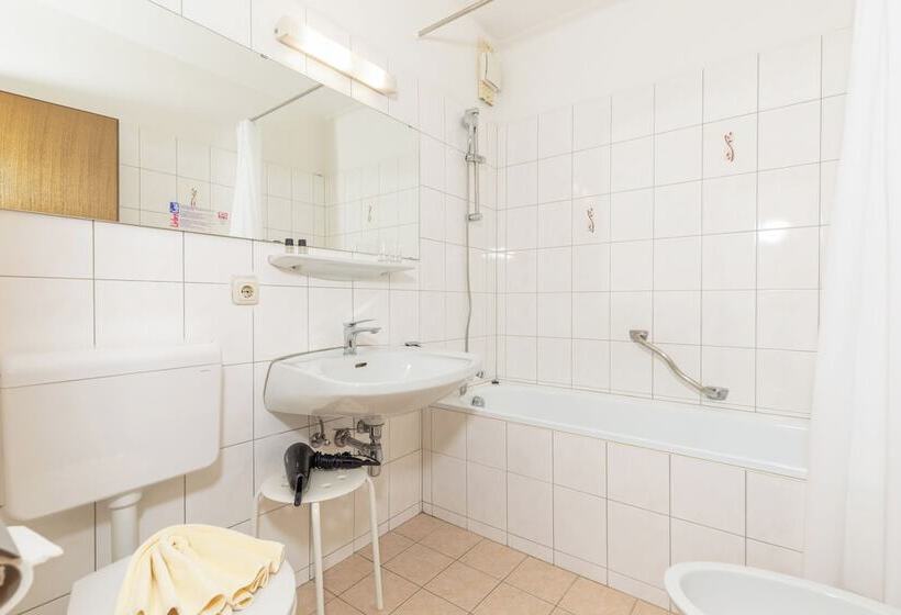 Alpenhotel Dachstein