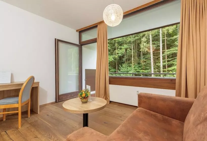 Alpenhotel Dachstein