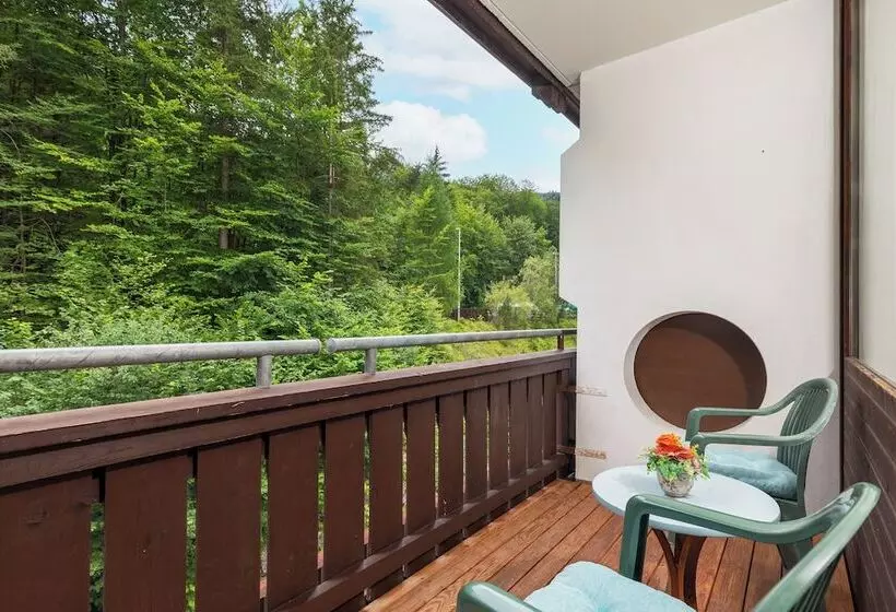 Alpenhotel Dachstein