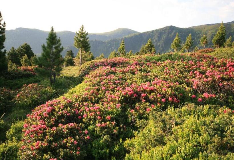 مبيت وإفطار Krönhof