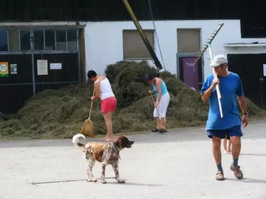 Kinderparadies Bachbauer