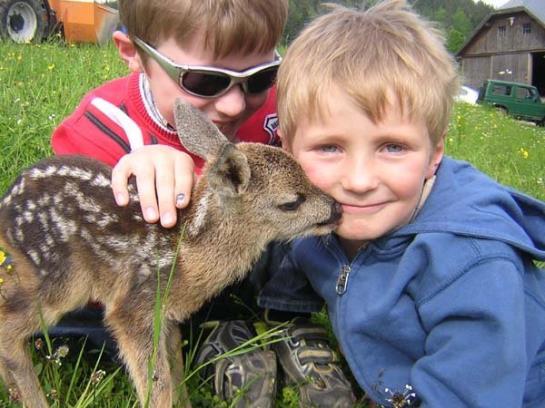 Bauernhof Stadlerhof