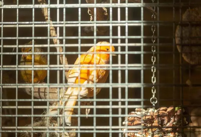 酒店 & Hostel Sandwirt