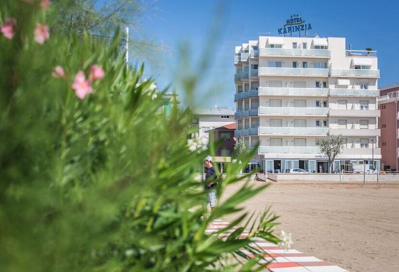 فندق Karinzia