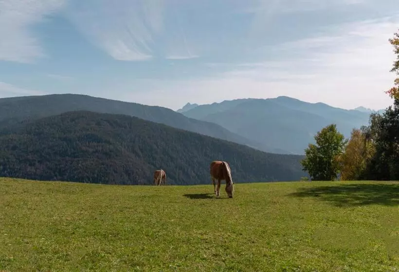 Panoramahotel Huberhof