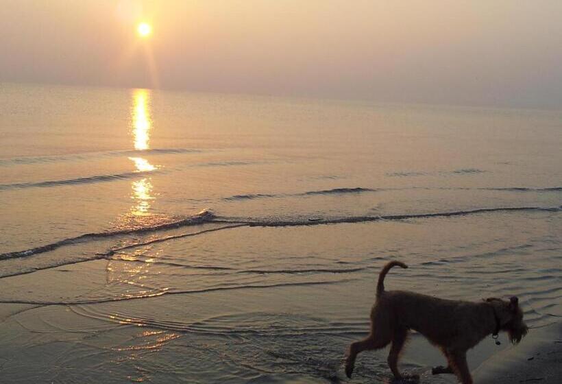 בית מלון כפרי Park E Mobil Home