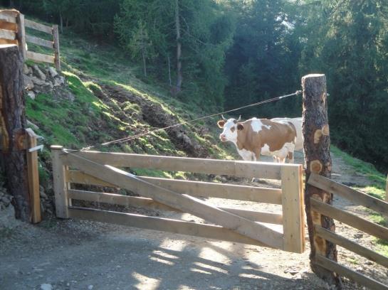 Отель Prantekammern Hütte Walchegg