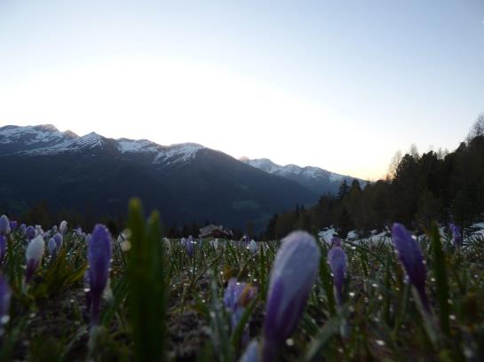 Отель Prantekammern Hütte Walchegg