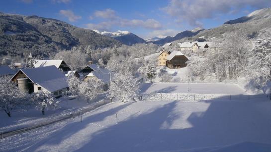 Land-gut-hotel Radnighof